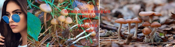 дурь Алексин