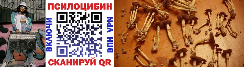 Галлюциногенные грибы Magic Shrooms  Островной 