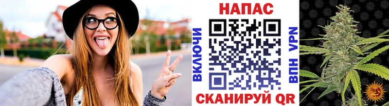 Конопля гибрид Островной